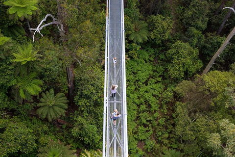 Illawarra Fly Treetop Adventures Treetop Walk Admission Ticket - Great Ocean Road Tourism 4