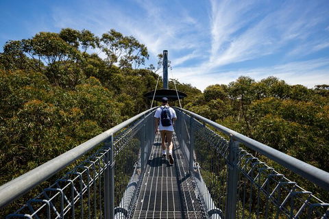 Illawarra Fly Treetop Adventures Treetop Walk Admission Ticket - Great Ocean Road Tourism 0
