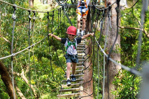 Illawarra Fly Treetop Adventures Treetop Walk Admission Ticket - Great Ocean Road Tourism 3