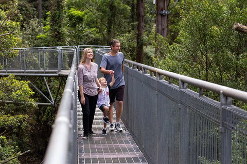 Illawarra Fly Treetop Adventures Treetop Walk Admission Ticket - Great Ocean Road Tourism 1