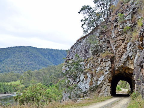 Boyd River - Great Ocean Road Tourism 1
