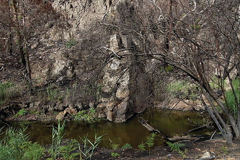 Brisbane Ranges National Park - Great Ocean Road Tourism 0