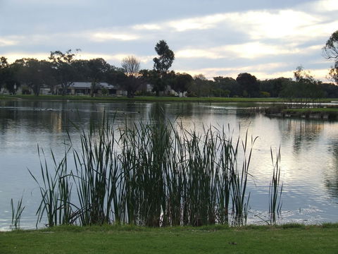 Luke Park And Jerilderie Lake - Great Ocean Road Tourism 2