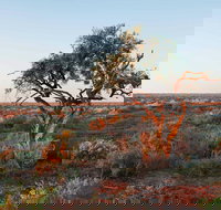 Merton Motor Trail - Great Ocean Road Tourism