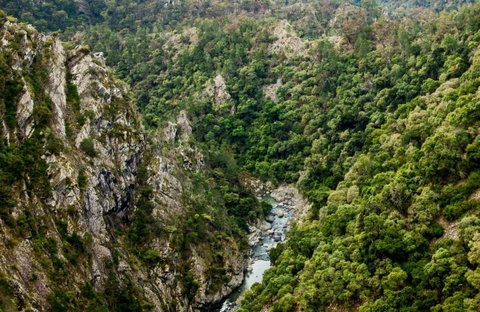 Tiara Walking Track - Great Ocean Road Tourism 0