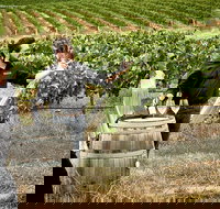 VIP Soil-To-Cellar Experience - Great Ocean Road Tourism