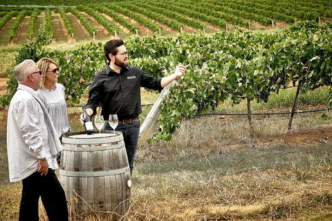 VIP Soil-To-Cellar Experience - Great Ocean Road Tourism 0