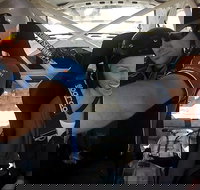 Hunter Valley 3 Hotlap Ride in a Rally Car - Great Ocean Road Tourism