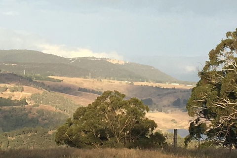 Interactive Farm Tours On A Beef, Lamb And Duck Farm - Great Ocean Road Tourism 1