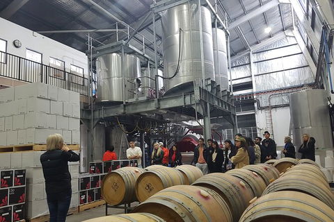 Hunter Valley Small Group Wine, Gin, Cheese & Chocolate Tour - Great Ocean Road Tourism 6