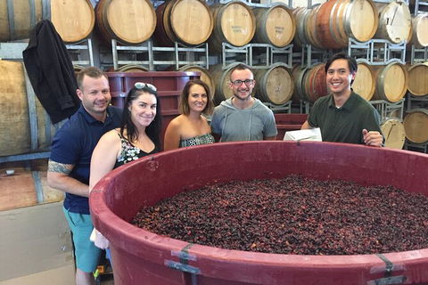 Hunter Valley Small Group Wine, Gin, Cheese & Chocolate Tour - Great Ocean Road Tourism 0