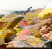 Six hour - plan your own wine and cheese tour Hunter Valley - Great Ocean Road Tourism