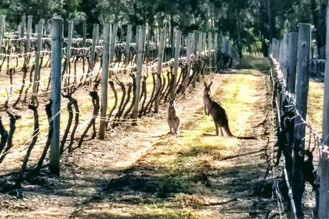 The Complete Hunter Valley Wine Tour Of Pokolbin, Mt View, Lovedale And Rothbury - Great Ocean Road Tourism 5