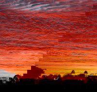 Private Full-Day Wine Tour in Hunter Valley - Great Ocean Road Tourism