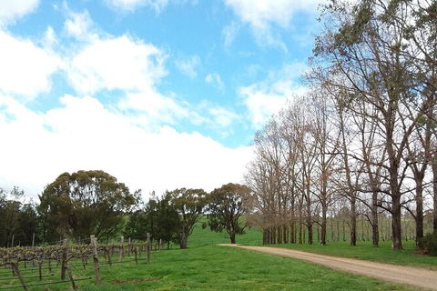 All-inclusive Morning Wine Tour In Orange - Great Ocean Road Tourism 8