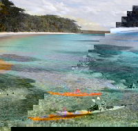 Half-Day Jervis Bay Sea Kayak Tour - Great Ocean Road Tourism