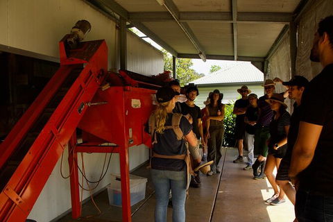 Pecan Farm Tour And Workshop, Byron Bay Hinterland - Great Ocean Road Tourism 4