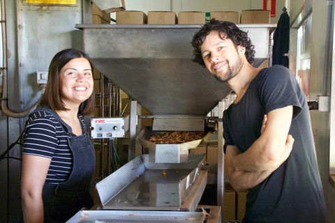 Pecan Farm Tour And Workshop, Byron Bay Hinterland - Great Ocean Road Tourism 7