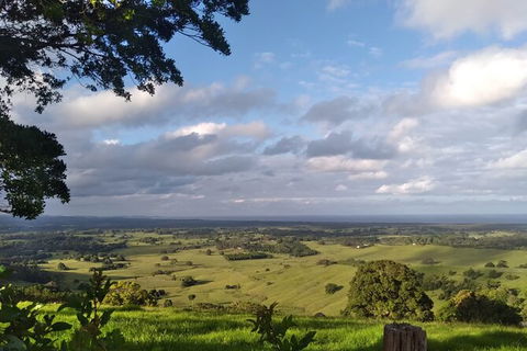 Pecan Farm Tour And Workshop, Byron Bay Hinterland - Great Ocean Road Tourism 1