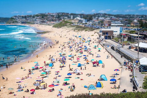 Newcastle Scenic Explorer - 2 Hour Tour By Minibus - Great Ocean Road Tourism 6