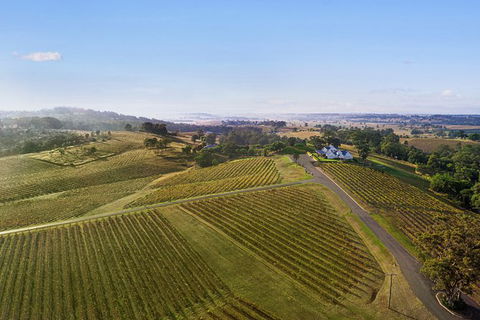 Audrey Wilkinson Vineyard: Fromage And Fortified Wine Experience - Great Ocean Road Tourism 1