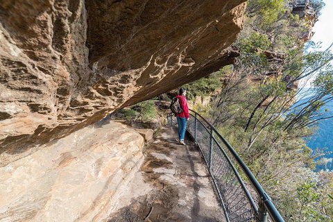 Blue Mountains Highlights & Wildlife Park - Great Ocean Road Tourism 0