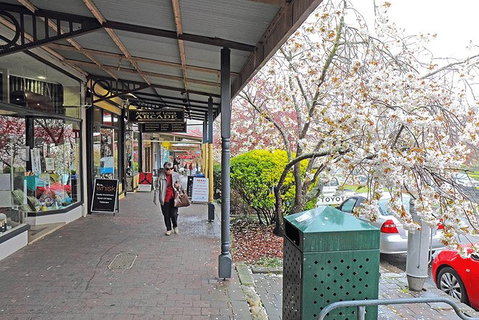 Blue Mountains Highlights & Wildlife Park - Great Ocean Road Tourism 2