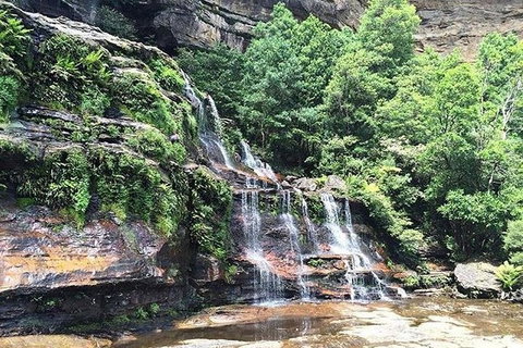 Blue Mountains Highlights & Wildlife Park - Great Ocean Road Tourism 8