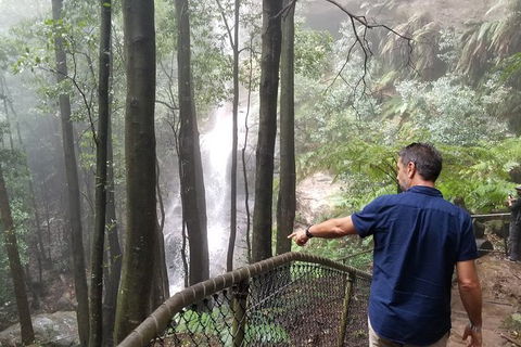 Blue Mountains Highlights, Wildlife Park And Scenic World Full Day Private Tour - Great Ocean Road Tourism 6