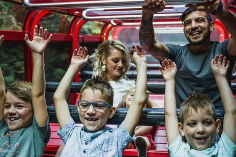 Blue Mountains Highlights, Wildlife Park And Scenic World Full Day Private Tour - Great Ocean Road Tourism 5