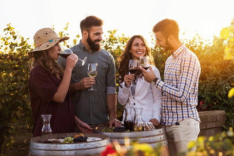 Hunter Valley Highlights Private Wine Tour From Sydney - Great Ocean Road Tourism 0