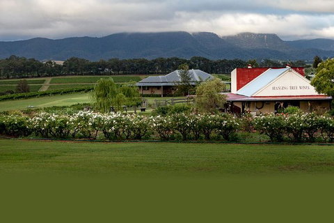 Hunter Valley Highlights Private Wine Tour From Sydney - Great Ocean Road Tourism 5