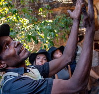 Arnhem Land Injalak Hill Full-Day Tour from Jabiru - Great Ocean Road Tourism
