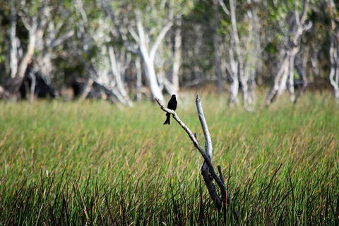 ETHICAL ADVENTURES - Dry Season Litchfield Region, Max 10 Guests - Great Ocean Road Tourism 2