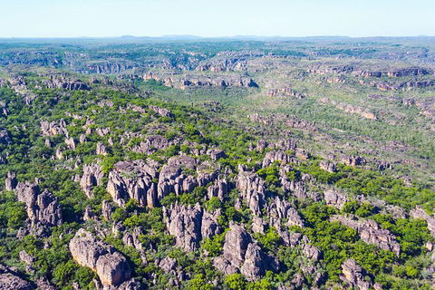 Jabiru 30 Minute Scenic Flight - Great Ocean Road Tourism 1