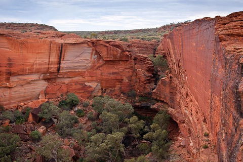 Uluru, Kata Tjuta And Kings Canyon Camping Safari From Alice Springs - Great Ocean Road Tourism 4