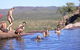 Kakadu, Katherine & Litchfield Adventure - thumb 0