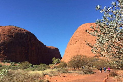 5-Hour Kata Tjuta Sunrise Tour From Ayers Rock With Breakfast - Great Ocean Road Tourism 2