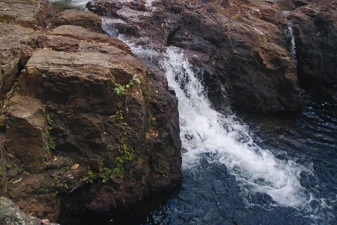 Full-Day Private Guided Tour To Litchfield National Park - Great Ocean Road Tourism 8