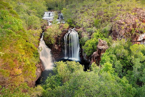 Full-Day Private Guided Tour To Litchfield National Park - Great Ocean Road Tourism 0