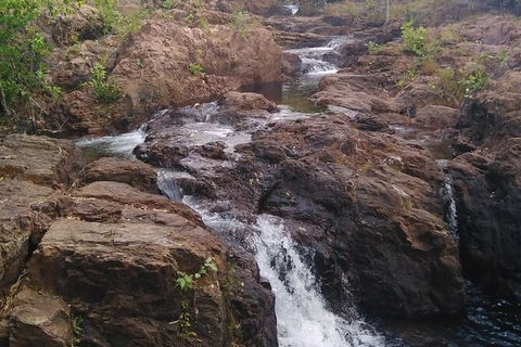 Full-Day Private Guided Tour To Litchfield National Park - Great Ocean Road Tourism 15