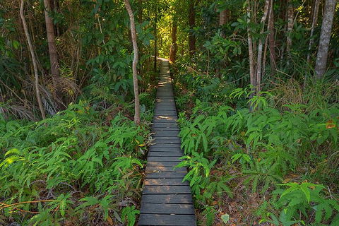 Full-Day Private Guided Tour To Litchfield National Park - Great Ocean Road Tourism 7