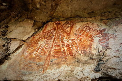 Arnhem Land Injalak Hill Full-Day Tour From Darwin - Great Ocean Road Tourism 1