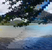 Full Day Tour in the Daintree - Great Ocean Road Tourism