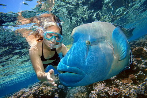 Cairns 2-Day Combo: Great Barrier Reef Cruise And Kuranda - Great Ocean Road Tourism 0
