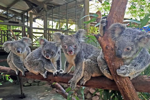 Cairns 2-Day Combo: Great Barrier Reef Cruise And Kuranda - Great Ocean Road Tourism 6