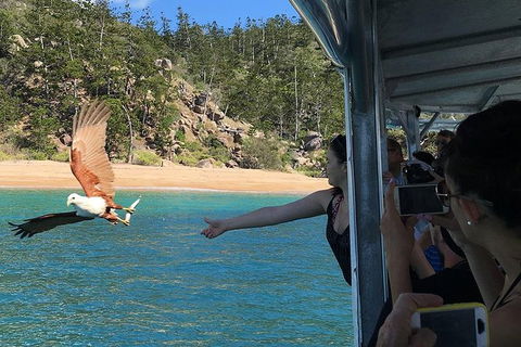 Aquascene Magnetic Island Discovery Tour - Great Ocean Road Tourism 2