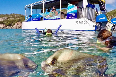 Aquascene Magnetic Island Discovery Tour - Great Ocean Road Tourism 4