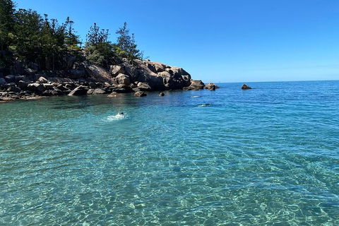 Aquascene Magnetic Island Discovery Tour - Great Ocean Road Tourism 9