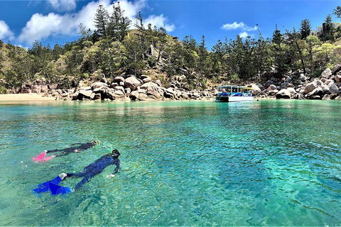 Aquascene Magnetic Island Discovery Tour - Great Ocean Road Tourism 8
